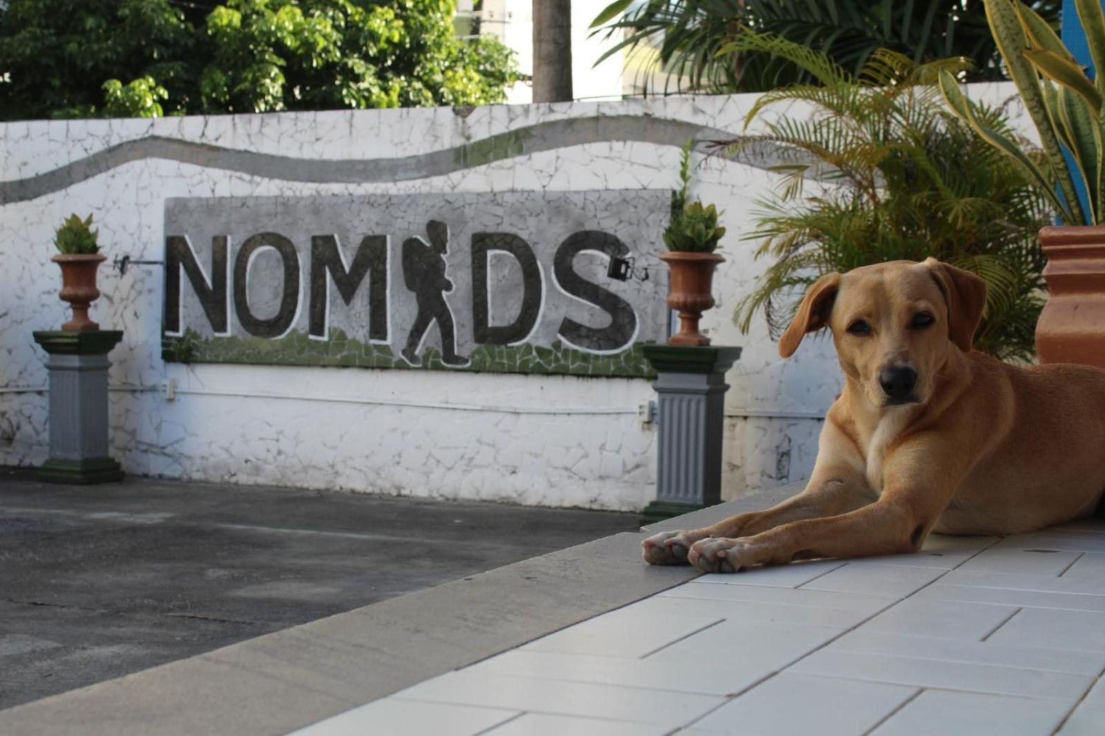 Nomads Hostel Multicultural & Coworking Salvador Luaran gambar