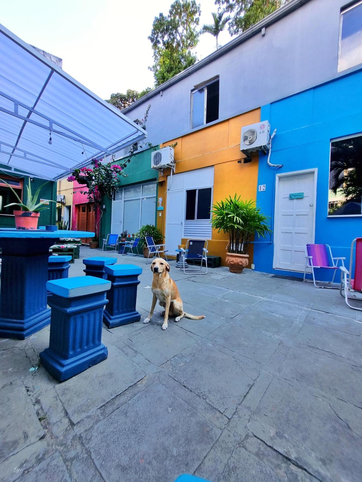 Nomads Hostel Multicultural & Coworking Salvador Luaran gambar