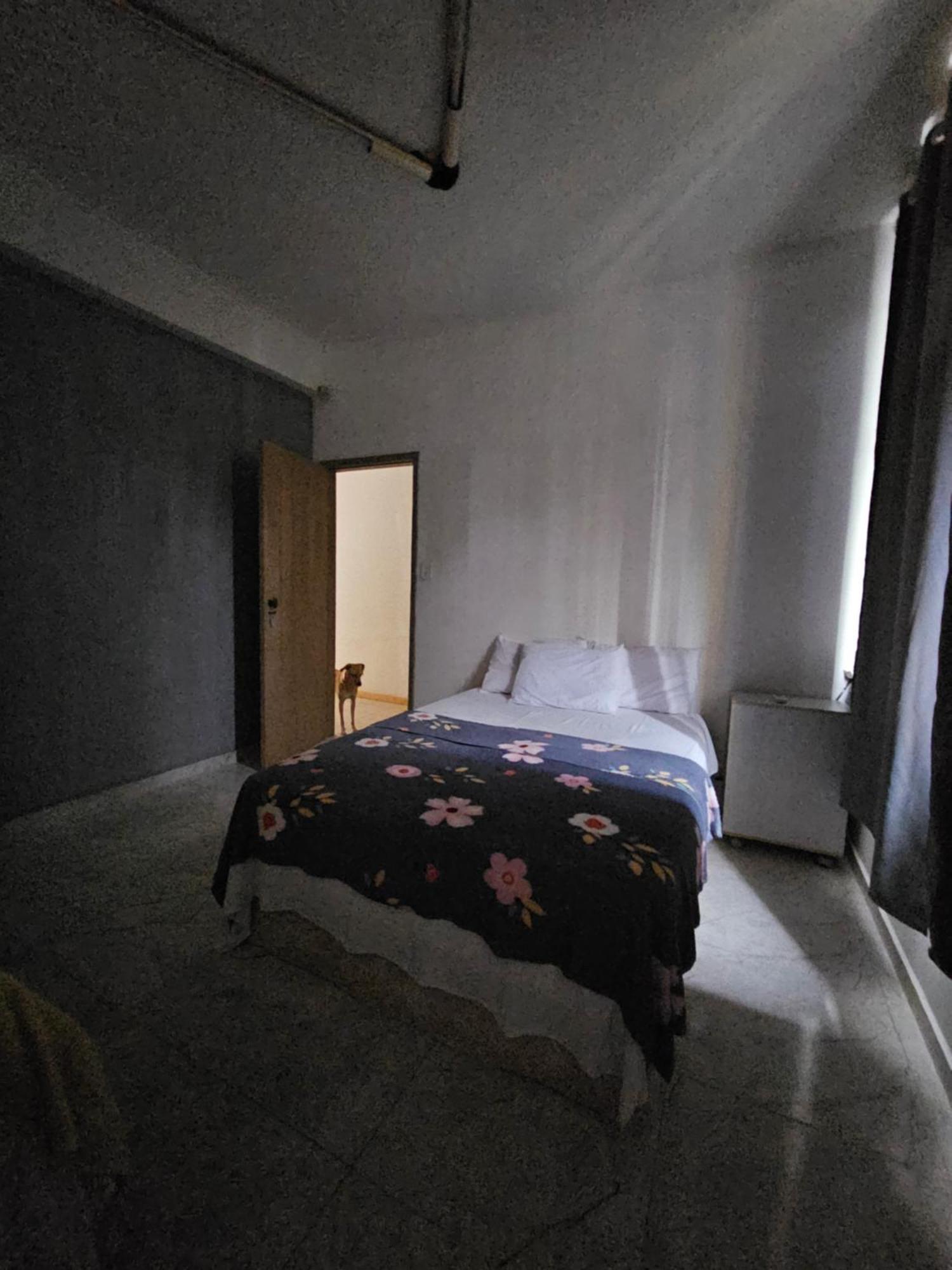 Nomads Hostel Multicultural & Coworking Salvador Luaran gambar