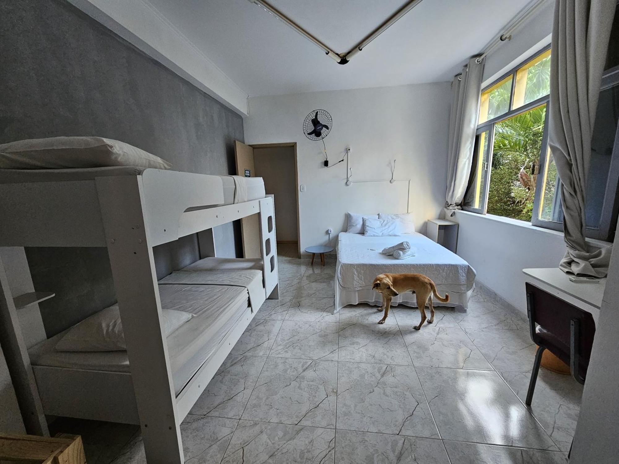 Nomads Hostel Multicultural & Coworking Salvador Luaran gambar